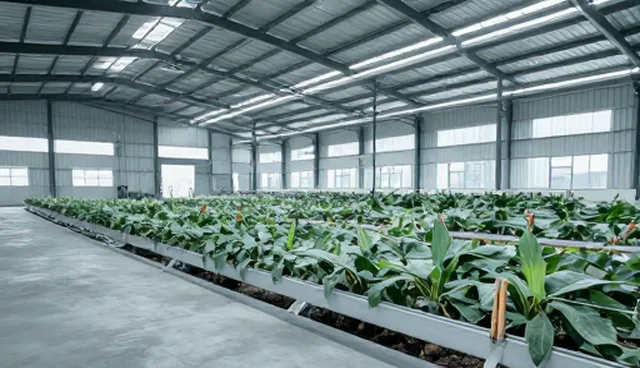农副产品标准化种植如何应对市场波动